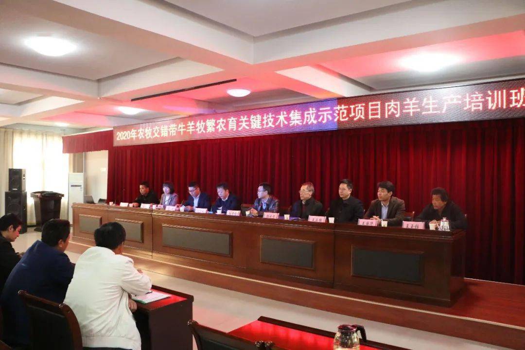 七彩优科技培训